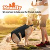 NeoAlly Dog Back Brace for Dogs Arthritis, IVDD, Spinal Surgical