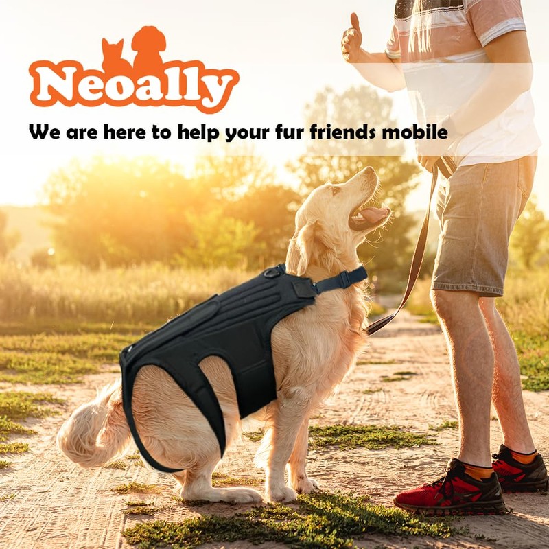 NeoAlly Dog Back Brace for Dogs Arthritis, IVDD, Spinal Surgical
