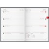 BRUNNEN Pocket Diary Model 731 (2025), 2 Pages = 1