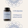 Gudgut - Gudzen Psicobioticos Probioticos - Salud Intestinal