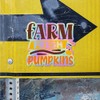 Holographic Decal Stickers of Farm Fresh Pumpkins Premium Waterproof Vinyl