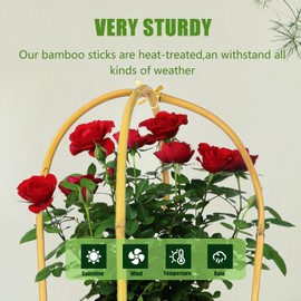 3 Feet Natural U-Hoops Bamboo, Plant Trellis, 35.5in Garden Trellis for Climbing Plants Outdoor Indoor - 3 Pack