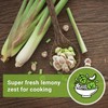 Sow Right Seeds Sow Right Seeds - Lemon Grass Seed