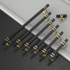 ROMATEE 10 Pack 10 Inch(254mm) Cabinet Pull Black and Gold