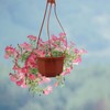 Mipcase 10 Pack Hanging Planters, Hanging Pots for Plants Indoor