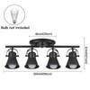 SEEBLEN 4-Light Track Lighting Kit, Directional Ceiling Light, Industrial Black