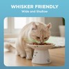 Necoichi Cuenco de Comida Extra Ancho para Gatos (Gato)