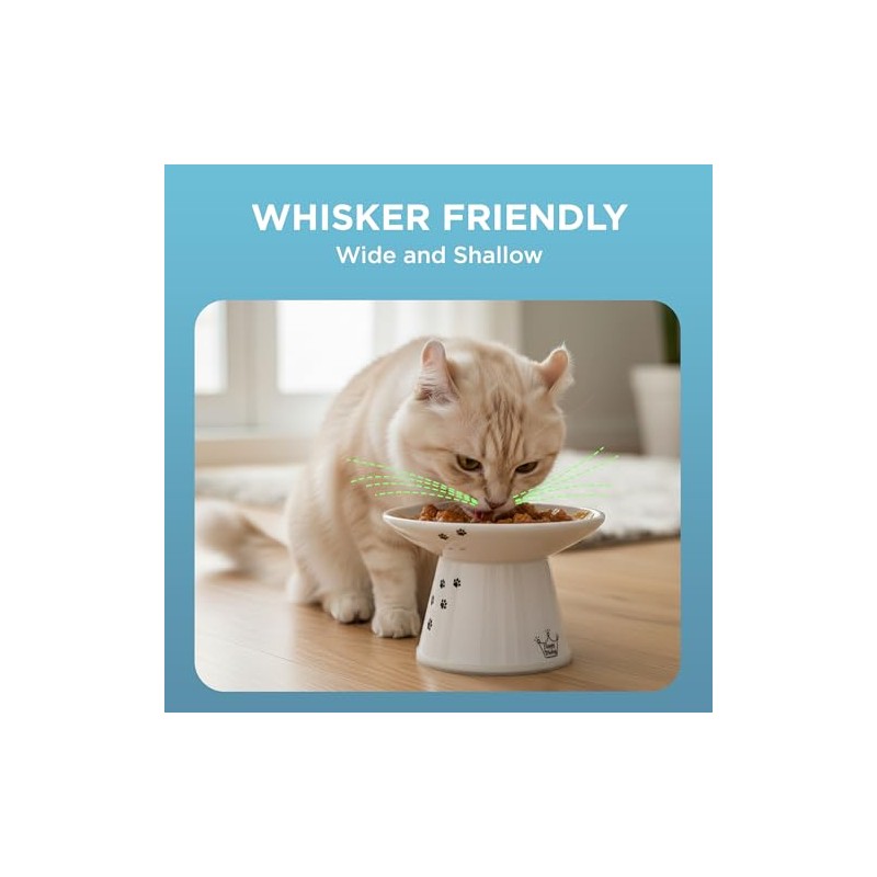 Necoichi Cuenco de Comida Extra Ancho para Gatos (Gato)