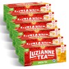 Luzianne Green Tea Bags, Family Size, 24ct Box (Pack of