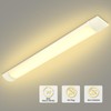 Litglobe 2FT LED Shop Lights, 20W Tube Light Fixture, 2FT