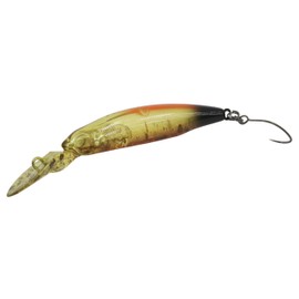 Still Area T2 Rodeo Color 07 Kyankyan Orange