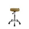 Source One Beauty SPA NUMA Button Esthetician Stool with Metal
