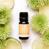 ECO. Modern Essentials Sun-Kissed Essential Oil Blend, 10ml