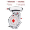 Escali DS115B Mercado Retro Classic Mechanical Dial Stainless Steel Scale,