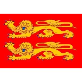 France - (Lower) Normandy - Les p'tits cats (The Little Cats) Flag 150cm x 90cm