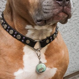 GRAPHICS & MORE Elephant Keep Calm and Stay Fresh Bathtub Chrome Plated Metal Pet Dog Cat ID Tag