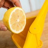 Lemon Squeezer Citrus Juicer Lemon Juicer Lime Squeezer,Manual Lemon Squeezer