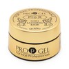 Pro Base Pro X Non-Sanding Base Gel, No Acid, 0.1