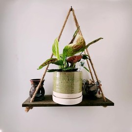 HERDUK - Macetas de cerámica de 6 pulgadas, con orificio de drenaje y platillo, maceta redonda cilíndrica para interior/exterior, verde y beige