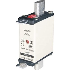 NH Fuse, C00, 40 A, 500 V gL-gG with Double Identifier