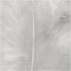 Feathers, size 5-12 cm, white, 15pcs