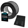 BlueBird Filters Replacement HEPA Filter & Carbon Pre Filter Kit