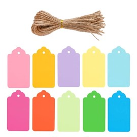 100 Pcs Gift Tags with String, Small Price Tag, Decorative Paper Tags for Gifts, Hanging Labels for DIY Gift Box, Wedding Name, Birthday Presents, 10 Assorted Colours for Wrapping and Personalis