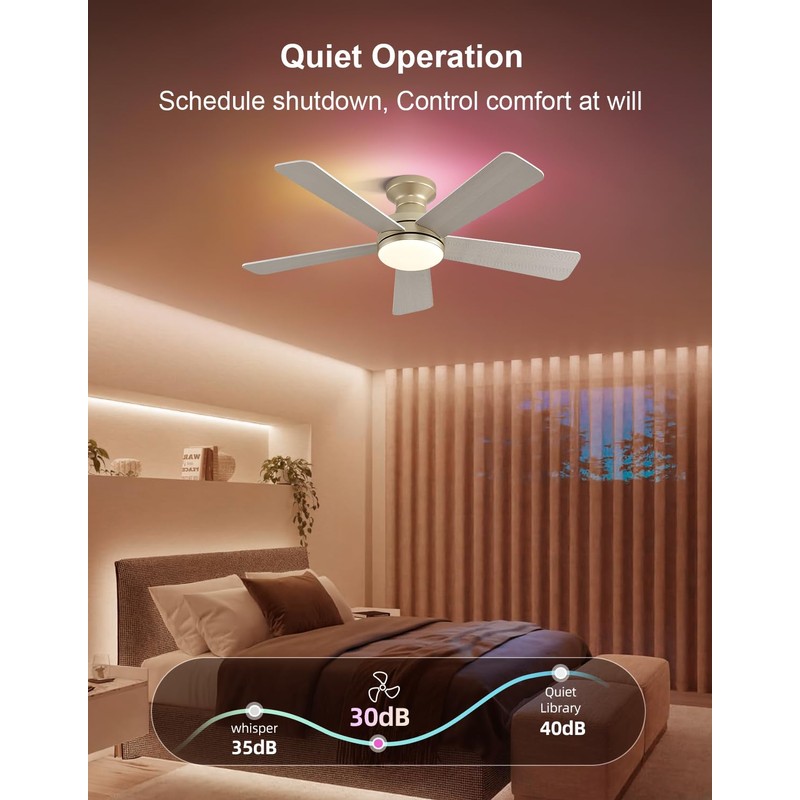 Homlit 42 inch RGB Ceiling Fan with Light, Voice &