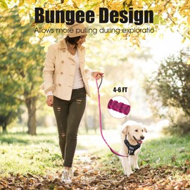 BUMBIN 6Ft Dog Leash Large Dogs, Bungee Dog Leash with 2 Handles, Heavy Duty Dog Leashes for Medium Small Dogs, No Pull Shock Absorbing Dog Leash with Car Seat Belt for Training, Pink