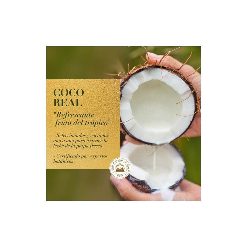 Herbal Essences Crema para Peinar Bio:Renew Leche de Coco y