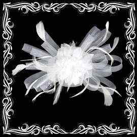 globazoe Fascinator Hats for Women,20s Vintage Womens Fascinator Headband Headpiece Hair Accessories for Kentucky Derby Wedding Tea Party Cocktail,HA5428-White