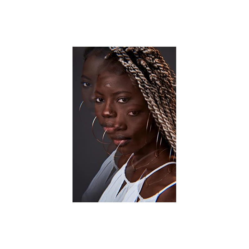 Freewell 77MM Linear Prism