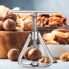 Nutcracker Nut Cracker Walnuts Nut Cracker Stainless Steel Walnut Cracker