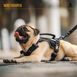Onetigris Mini Trooper Small Dog Harness and Leash Set, No Pull Dog Harness Fully Adjustable Harness for Puppy Dog and Cats, Dog Vest Harness for XXXS XXS XS Pets(Black, XS)