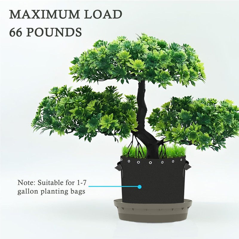 Molgoc Self-Watering Base with Visible Water Level,5-Pack,Keeps Leaves and Flying