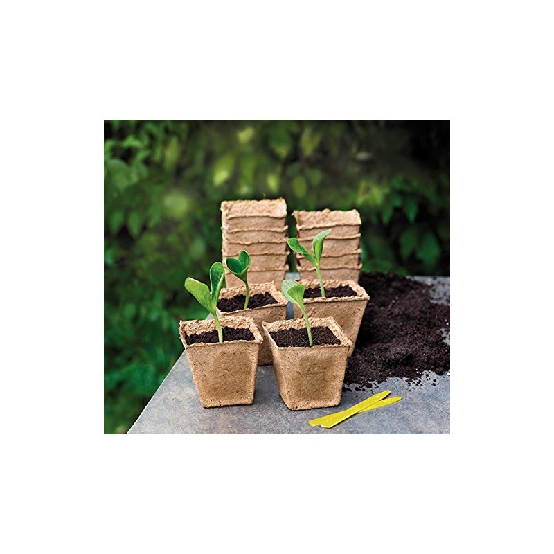 Romberg Classic Square Cultivation Pots 8 x 8 cm (Pack
