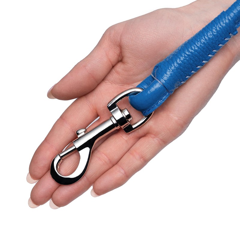 OOPSDOGGY Rolled Leather Dog Lead 6ft Heavy Duty Training Leash