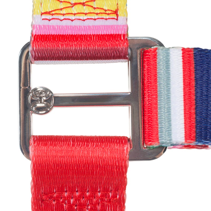 Hooey Nomad Walking Dog Harness, No-Pull Adjustable Harness for Dogs,