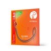 Pitbull Electric Guitar Strings Gold Series