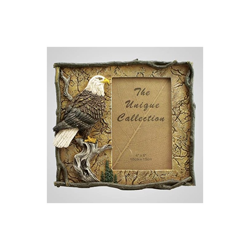 Lipco Polyresin Eagle Photo Picture Frame, 8.25-inch Length, Wall and