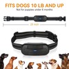 TUNGYILE T02 Dog Training Collar, black