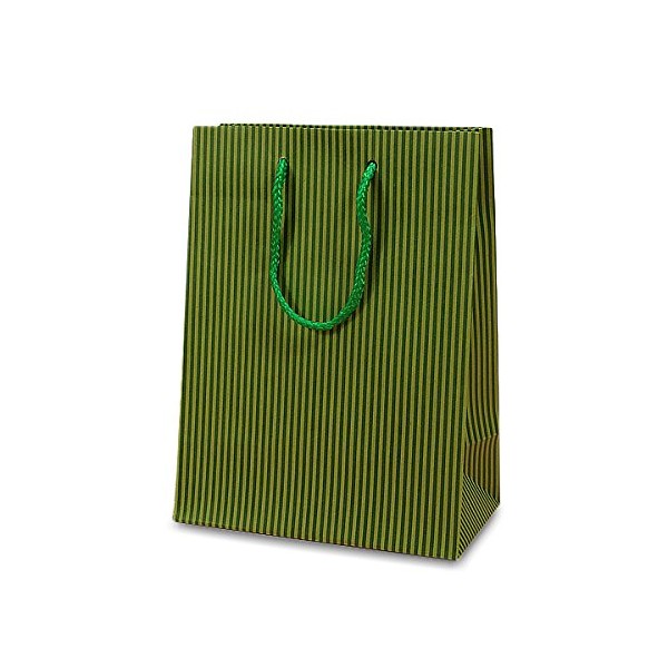 Paper Mart Green Pinstripe Rope Handle Bags | Quantity: 100