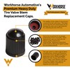Workhorse Automotive Replacement Valve Stem Caps Pack of 50