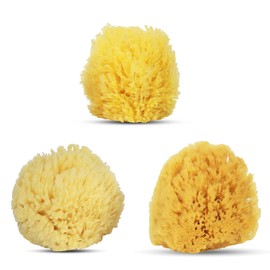 Baby Buddy Baby Bath 4in Assorted Sea Sponges, Absorbent Natural Sea Sponge, Soft on Tender Skin, Biodegradable, Hypoallergenic, Bath Accessories for Bathing, 3 Pack