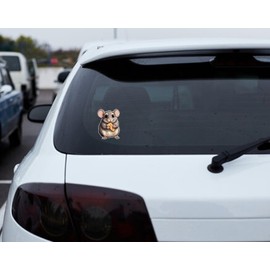 N.m. Stick Mouse Non-Magnetic Wall Decal 3D Stickers, Wall Stickers Decor, Cute Wall Decor, Funny Decal, Kids Wallpaper, Rat Stickers Best Wall, Bathroom Decals, Waterproof Ceiling Decor 3D Wallpaper