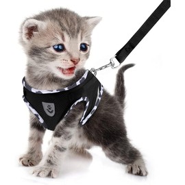 FEimaX Dog Harness and Leash Set, No-Pull Breathable Soft Mesh Puppy Vest Harness Reflective Adjustable Pet Harnesses for Small Medium Large Dogs and Cats - Outdoor Easy Control for Walking