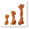 GOGO USA Turkey Tendon Bone Small 15g