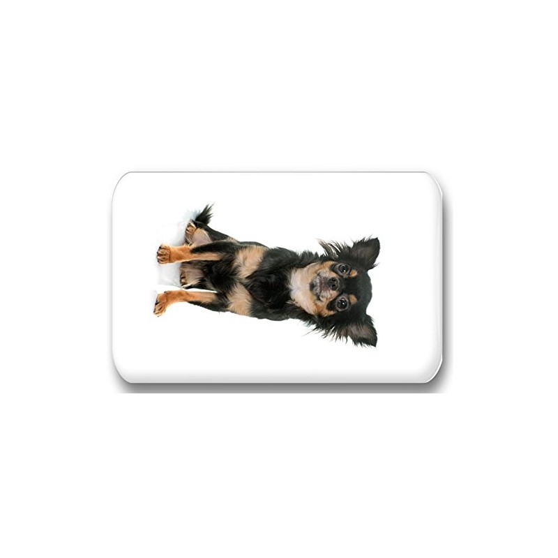 Merchandise for Fans Chihuahua 01 Rectangular Fridge Magnets 5.8 x