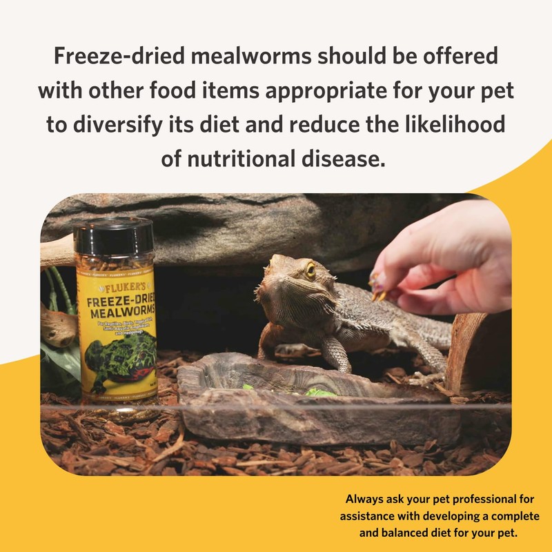 Fluker's Freeze Dried Insects, Nutrient, Packed Mealworms, Ideal for Lizards,