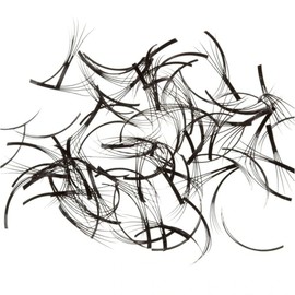 Knot Free W Lash Off the Tray B Curl 11mm